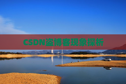 CSDN盗博客现象探析 CSDN盗博客现象探析